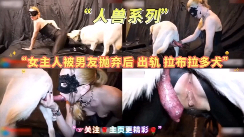 經典人獸系列女主人出軌拉不拉多