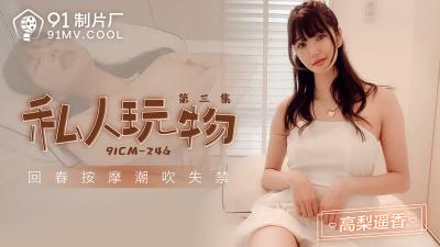 [91 Studio] 91CM-246 Private Playthings Épisode 3 - Takanari Haruka