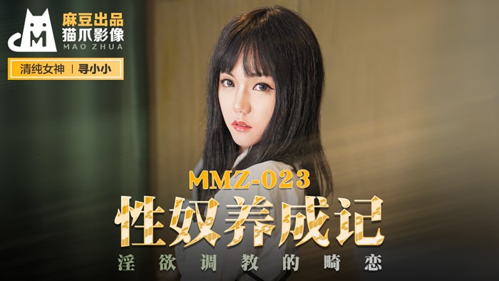 マドウメディア - 性奴隷調教記録 情欲調教異常愛 - 小小を探して