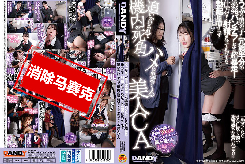DANDY-968 對一個天真的男孩開玩笑般的挑逗露底褲，結果他超暴走！無奈之下讓他射精，但勃起依然沒有平息，被追著在機艙的死角里被美麗的空姐瘋狂地干 宮西光,木下日葵 宮西光,木下日葵
