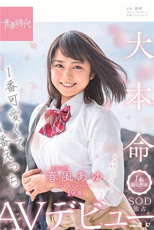 可愛又美的春風Ayu限定出演SOD獨家春風Ayu