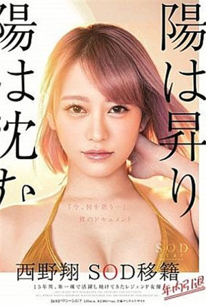 [中文字幕]STARS-13-日升日落西野翔SOD轉會年內引退