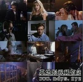 體熱性邊緣2