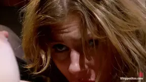 The Sexy Cat