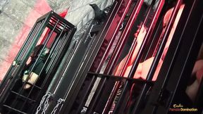 Three hoers moan loudly as they get thoroughly fucked