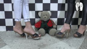 Teddy trample