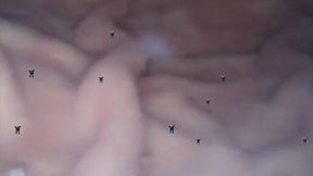 Tinies In Belly 4K smaller