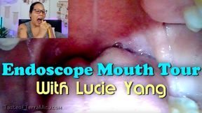 Endoscope Mouth Tour - Lucie Yang - HD 720 WMV