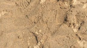 Kicking The Sand