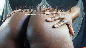 ASSimilation