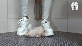 Raw Chicken under Christins Buffalos floor view