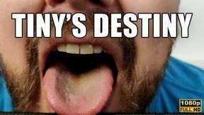 KingMarti: Tiny's Destiny - Surrender to Power: Embrace Your Weakness, Become Strength - FHD