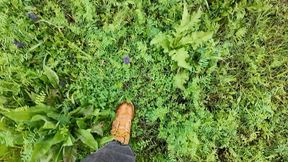 walking in timberlands boots outdoors, crushing flowers, puddles and mud