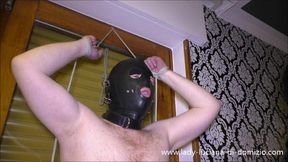 Failed and Flogged