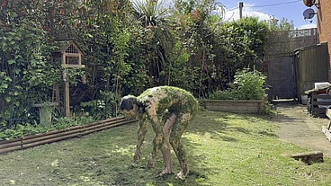 Gunged, Rolled in Grass Cuttings, Hosed Down