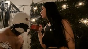 Mistress Glamorous will use this loser as her human ashtray