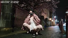 Naimi Series: Sakura Date with the Landlord 2