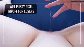 Wet Pussy Pixel Ripoff For Losers