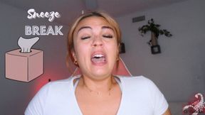 Sneeze Break (wmv)