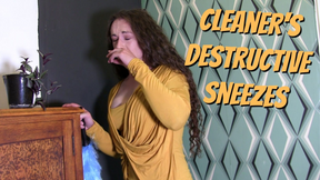 Cleaners Sneezing Destruction