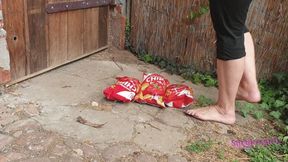 Sneaker-Girl Darleen - Potatoe Chips Crush