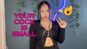 Your Cock Is Small