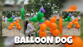 Balloon Dog