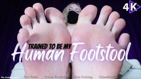 Trained To Be My Human Footstool - 4K - The Goddess Clue, Used By My Feet, Human Furniture Transformation, Foot Slave Training, Foot Fetish, Toes In Your Face, Objectification