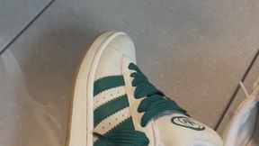 Humiliation dictation of green campus