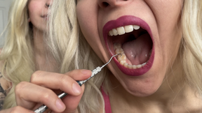 Mouth Tours With Dental Tool 4K