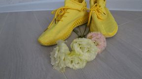 Crushed eustoma with yellow sneakers aa