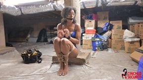 Sunny Dayes - Bound In The Basement (MP4 Format)