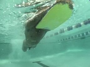 College Swim Team