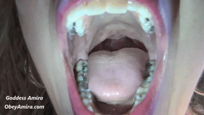 Mini Mouth Tour