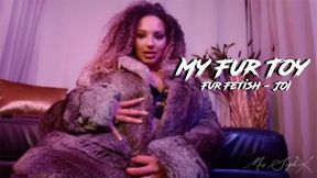 My Fur Toy