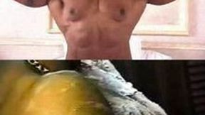 Big Wet Intimate Muscles