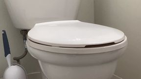 Toilet Bitch – Toilet Assignment – Domestic Slave Task
