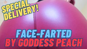 Special Delivery: Face-Farted by Goddess Peach