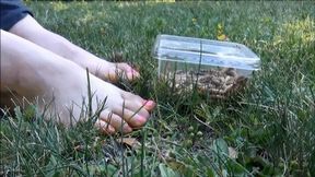 Christine plays with a worm box