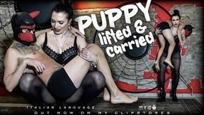LADY SCARLET - LIFTED AND CARRIED PUPPY hd