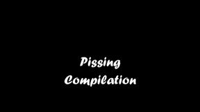 2021 Pissing Compilation