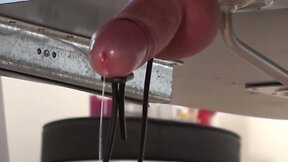 Schwanz mit e-stim absahnen