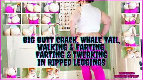 Big Butt Crack, Whale Tail, Walking & Farting, Farting & Twerking In Ripped Leggings 1920x1080 WMV