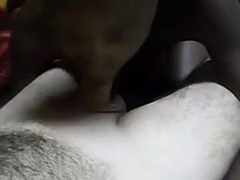 MULATA CHUPANDO E TRANSANDO