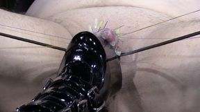 cock and ball piercings stretching waxplay and at end crush cbt with high heels