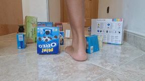 Crushing boxes with my big brown feet