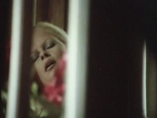 Ricordi di notte (1986)