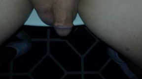 Peeing on the floor
