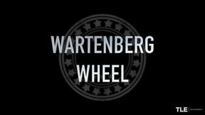 Wartenberg Wheel 2 - Antonia Sainz