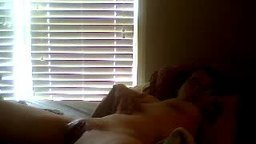 Celeste Morgan Private Show